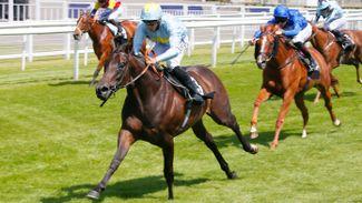 Superfly? Quotes and analysis as exciting Fly Miss Helen tackles Sweet Solera
