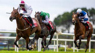 Galway: 'There wasn't a bob on him' - bookies in clover after back-to-back winners at 66-1 and 40-1 on Plate day
