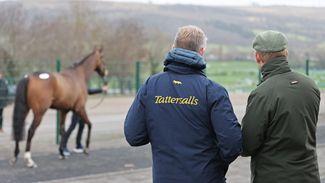 Exciting winners and relations to Grade 1 performers among Tattersalls Cheltenham January Sale catalogue