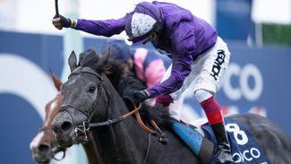 King Of Steel given go-ahead for Breeders' Cup Turf mission with Frankie Dettori to ride again
