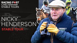 Watch: Nicky Henderson's horse-by-horse guide to the Cheltenham Festival