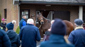 Masses of miles, studs and sires on an Irish Stallion Trail I could make a habit of