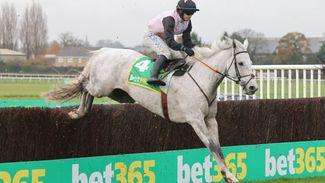 'Gentlemansgame is thriving and he's trained by a master' - don't forget the forgotten horse in Gold Cup says Darragh O'Keeffe