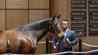 'Mr Magnier and MV were very interested in her from the beginning' - Coolmore stump up sale-record $2m for Zetta Z