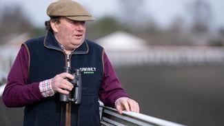 Nicky Henderson: 'miraculous improvement' needed in Monday blood test for Constitution Hill to run at Cheltenham