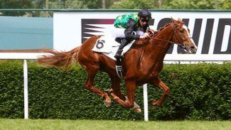 Straight Shooter success should cheer Frankel sire son supporters