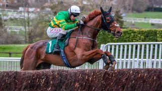 Hurling for glory as Galway breeder conquers Cheltenham with a little help from JP