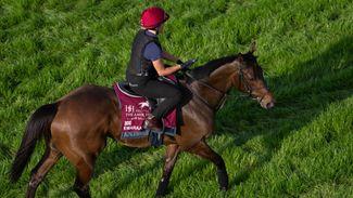 'It’s something we do with horses of this quality' - Jamie Osborne prepares for first Qatar runner with Emaraaty Ana