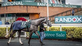 ‘He’s very special’ - Elliott and O’Leary waltz off with £300,000 Aintree Sale smasher