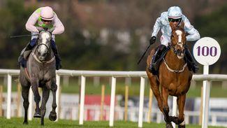 Spring Juvenile Hurdle: 'The best horse didn't win' - Luckless Lossiemouth beaten by stablemate Gala Marceau