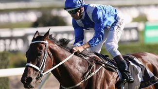 Supermare Winx waltzes to victory in the Chipping Norton