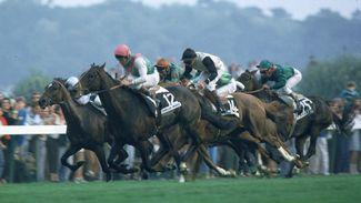 We believed Dancing Brave could fly - and then he took off to prove it