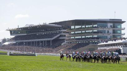 Racegoers warned of 'very busy' Gold Cup day as Cheltenham Festival to clash with major rugby final in Gloucester