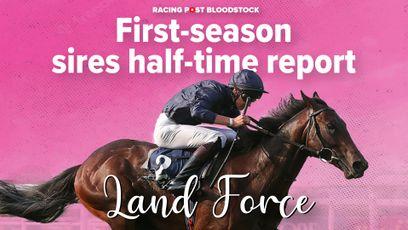 Land Force: the lowdown on Highclere Stud's regally bred and promising first-season sire