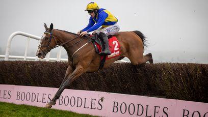 Punchestown: 'She was foot perfect' - delighted Gavin Cromwell hails Brides Hill at end of unbeaten season