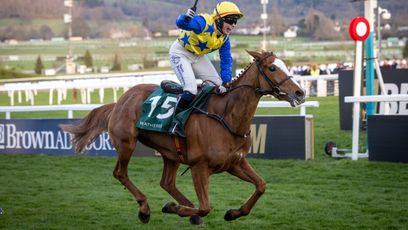 'She’d eat you out of house and home' - Champion Bumper winner Bambino Fever in rude health as she nears hurdles debut