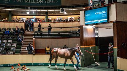 'I'm delighted we're looking' - Godolphin flex muscles at Orby with two colts snared for €1 million-plus spend