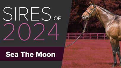 Sea The Moon's stock set to rise further after brilliant Classic double in 2023