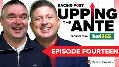 Upping The Ante: watch episode 14 featuring 13-2 and 9-2 tips for the Cheltenham Festival