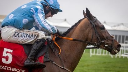 Punchestown: Cheltenham could be next after Echoing Silence marches to impressive Listed success for Henry de Bromhead