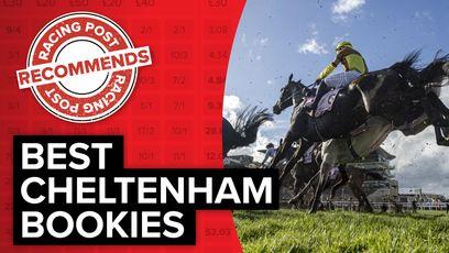 2024 Cheltenham Festival free bets: how to make the most of the new account sign-up offers from the best online bookmakers