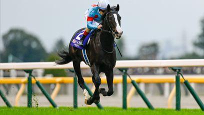 How did Equinox's Japan Cup masterclass stack up on ratings and against the best of the rest?