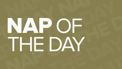 Nap of the day: best horse racing tips for the day's four meetings
