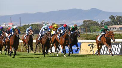 South African racing comes out of 13-year isolation after EU export ban is lifted