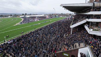 Has the Cheltenham Festival peaked? Or are falling crowds actually for the best?