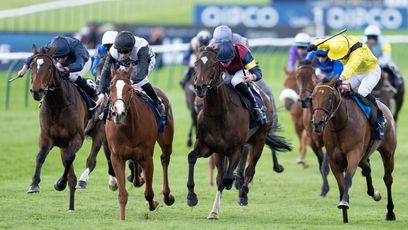 Kingman and Nahrain to the fore as Elmalka evokes special memories for Roger Varian