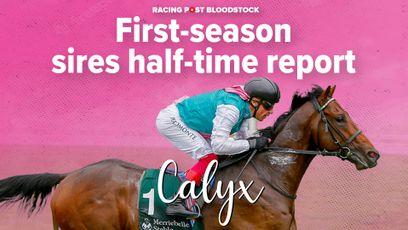 Group performers propelling Coolmore's Calyx to the front rank of the class of 2023