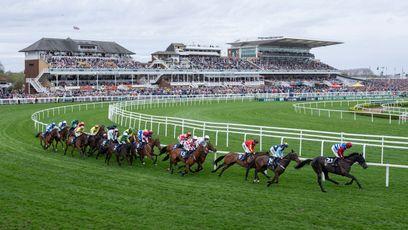 New levy deal would allow more balanced racing programme says trainers' chief as talks resume
