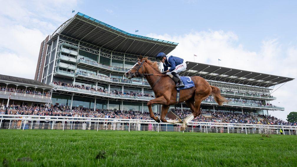'We all want to win the Derby, but it takes a type' - William Haggas not sold on Economics Epsom bid despite Dante demolition