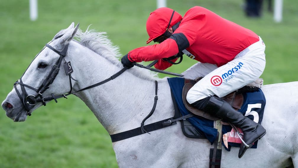 Grey Dawning ridden by Harry Skelton wins the Turners Novices' Chase at Cheltenham